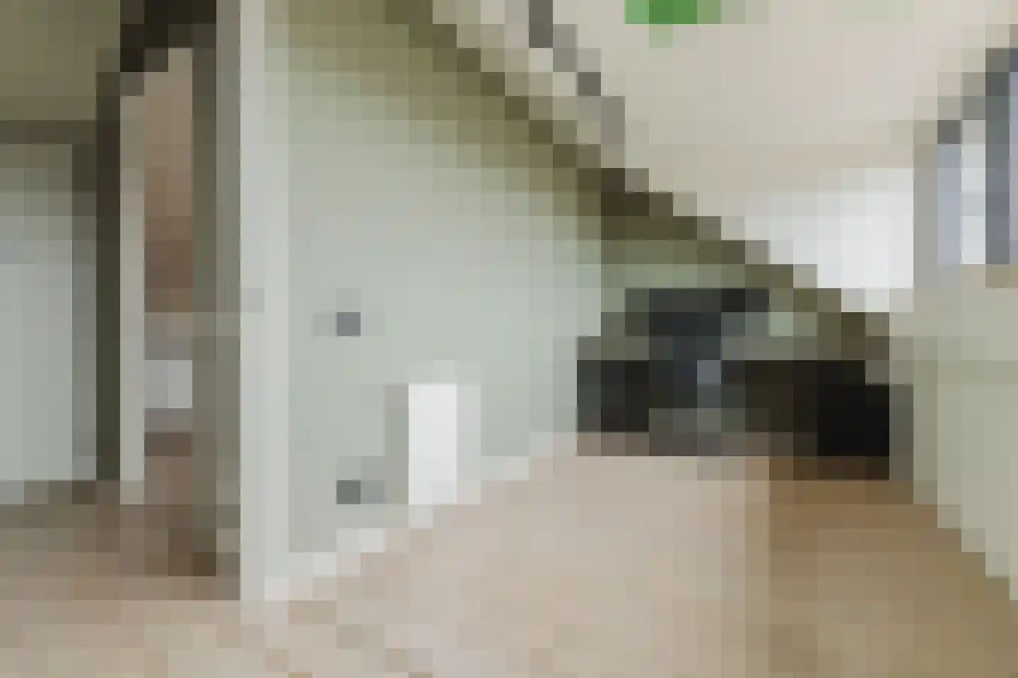 Koeweide 9 Rijsbergen thumbnail 29