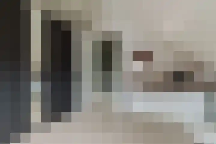 Koeweide 9 Rijsbergen thumbnail 32