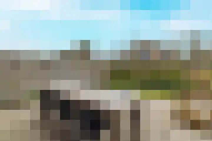 Koeweide 9 Rijsbergen thumbnail 33