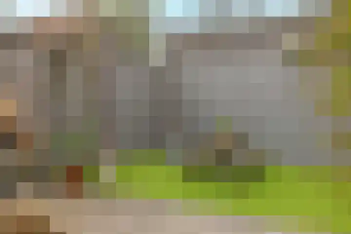 Koeweide 9 Rijsbergen thumbnail 35