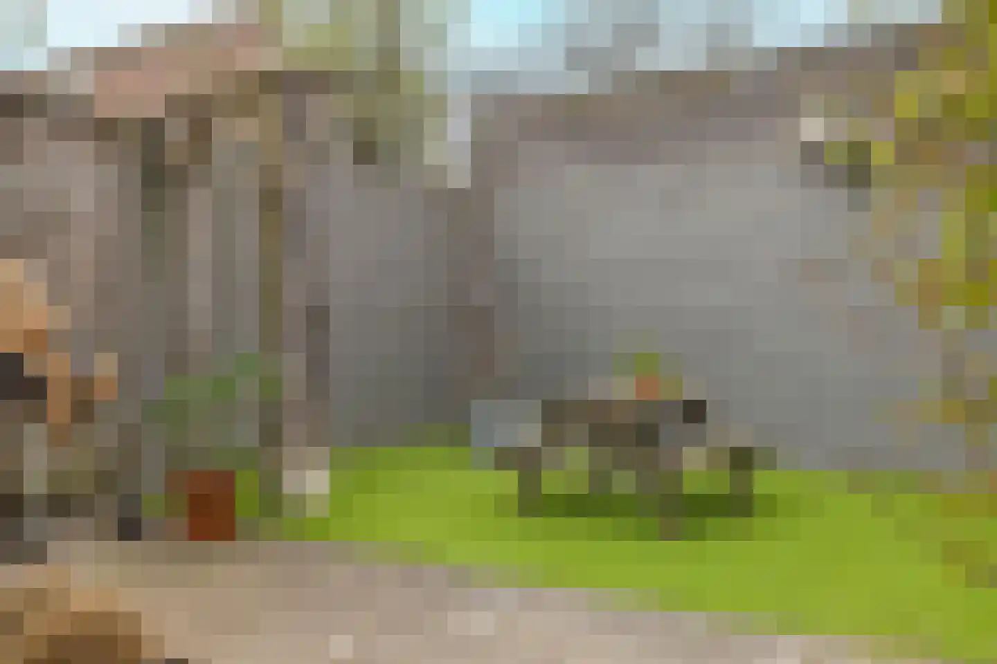 Koeweide 9 Rijsbergen thumbnail 35