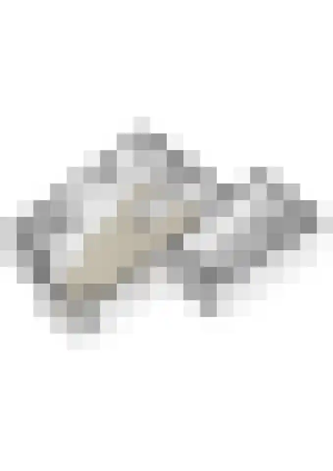Koeweide 9 Rijsbergen thumbnail 41