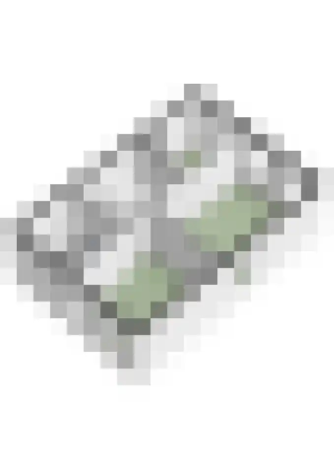 Koeweide 9 Rijsbergen thumbnail 43
