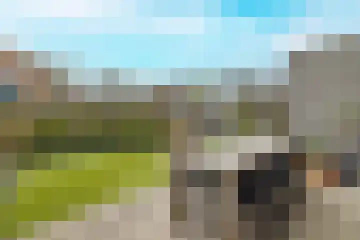 Koeweide 9 Rijsbergen thumbnail 6