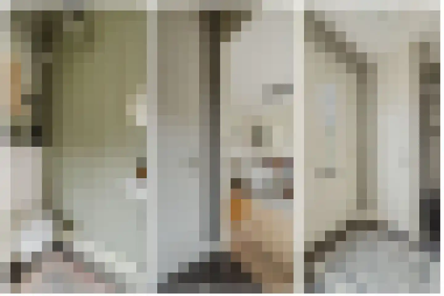 Koeweide 9 Rijsbergen thumbnail 8