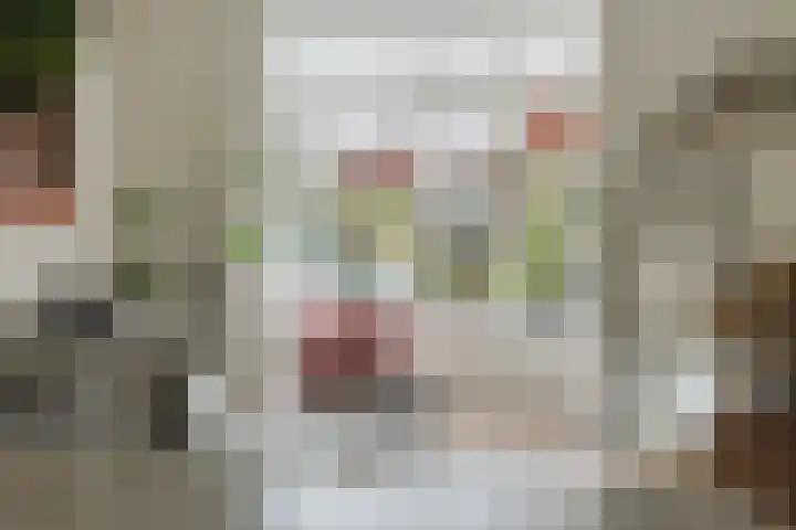 Koeweide 9 Rijsbergen thumbnail 9
