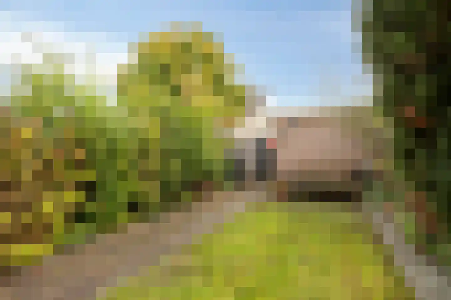 Koeweide 91 Westervoort thumbnail 25