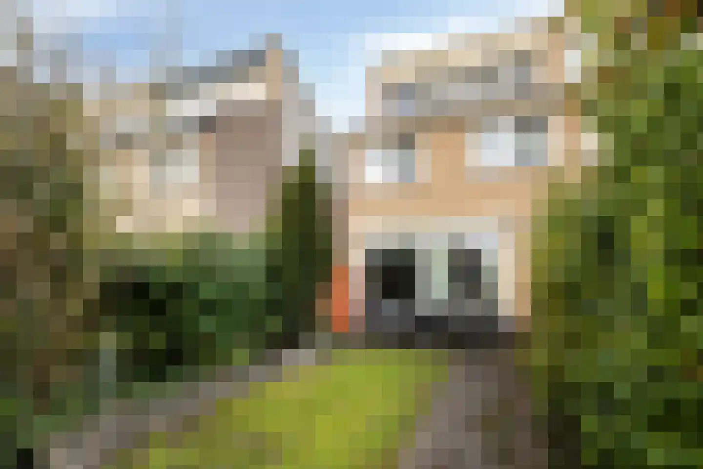 Koeweide 91 Westervoort thumbnail 26