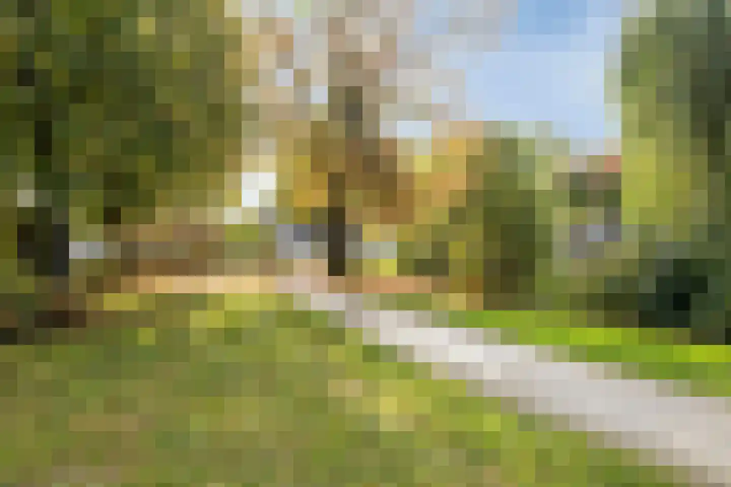 Koeweide 91 Westervoort thumbnail 43
