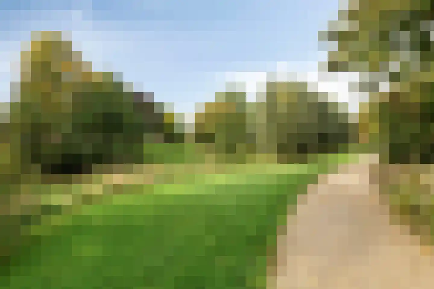 Koeweide 91 Westervoort thumbnail 44