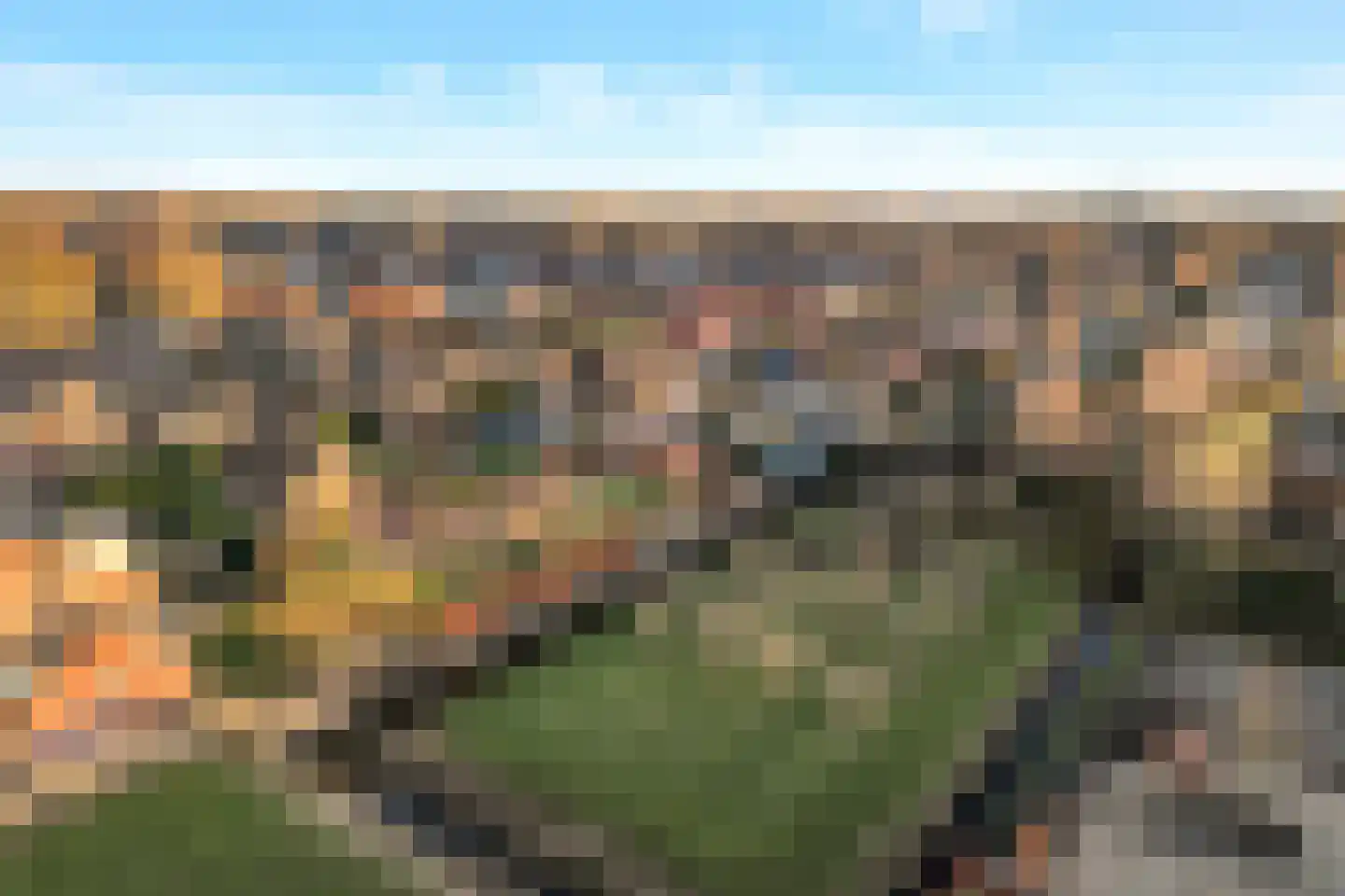 Koewijzend 1 Zwaag thumbnail 19