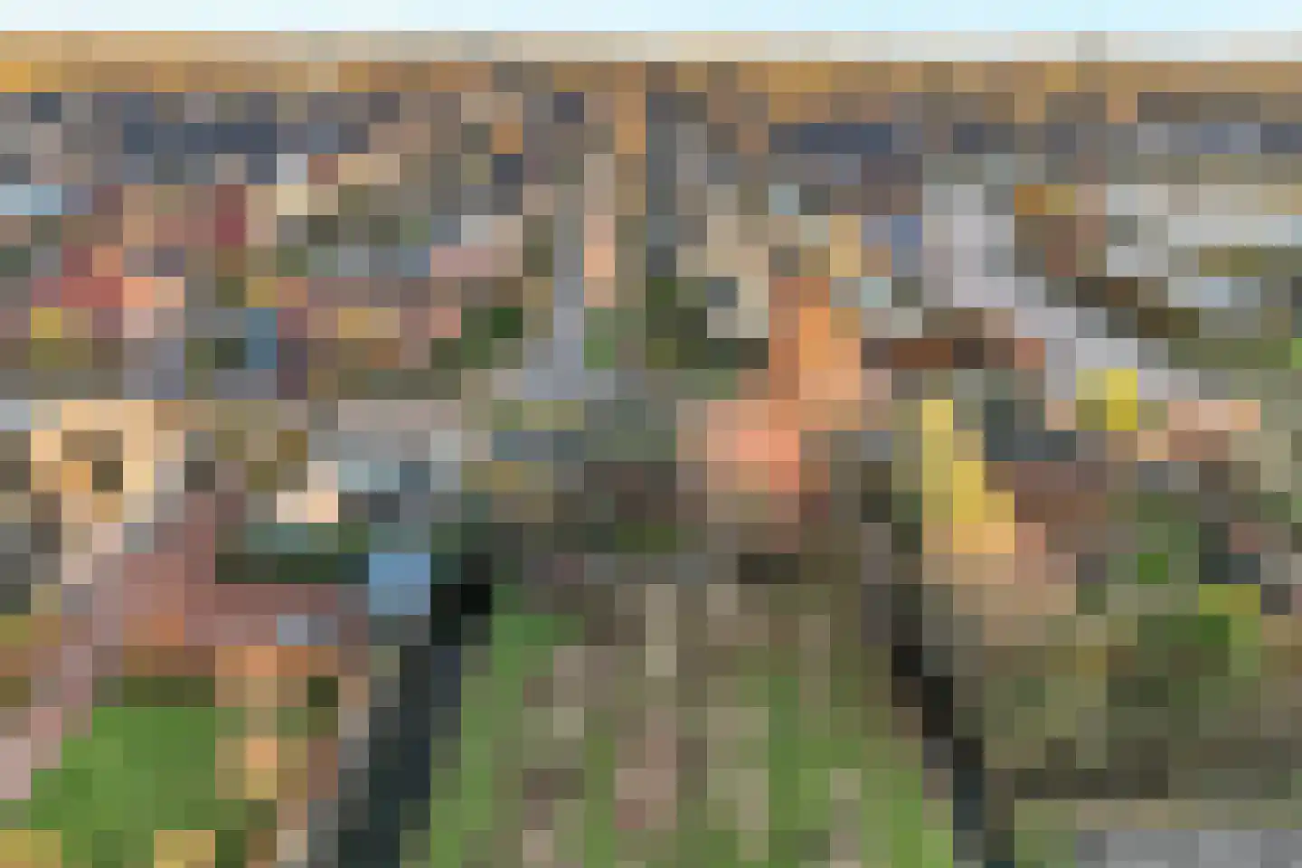 Koewijzend 1 Zwaag thumbnail 20