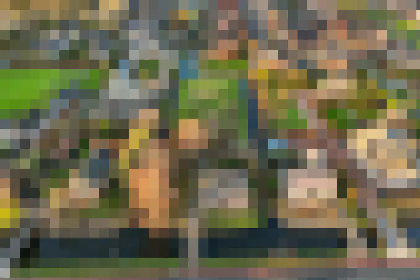Koewijzend 1 Zwaag thumbnail 21