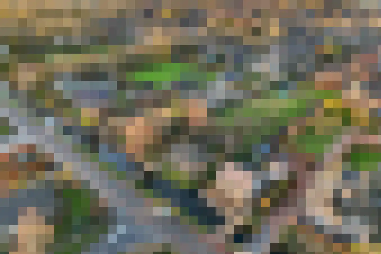 Koewijzend 1 Zwaag thumbnail 23