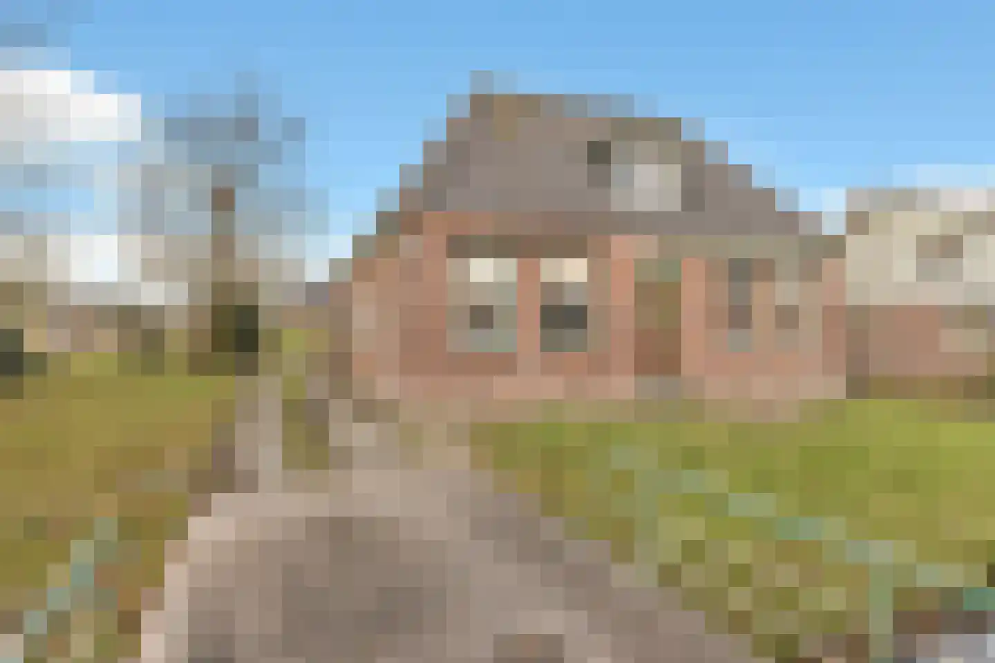 Koewijzend 1 Zwaag foto 3
