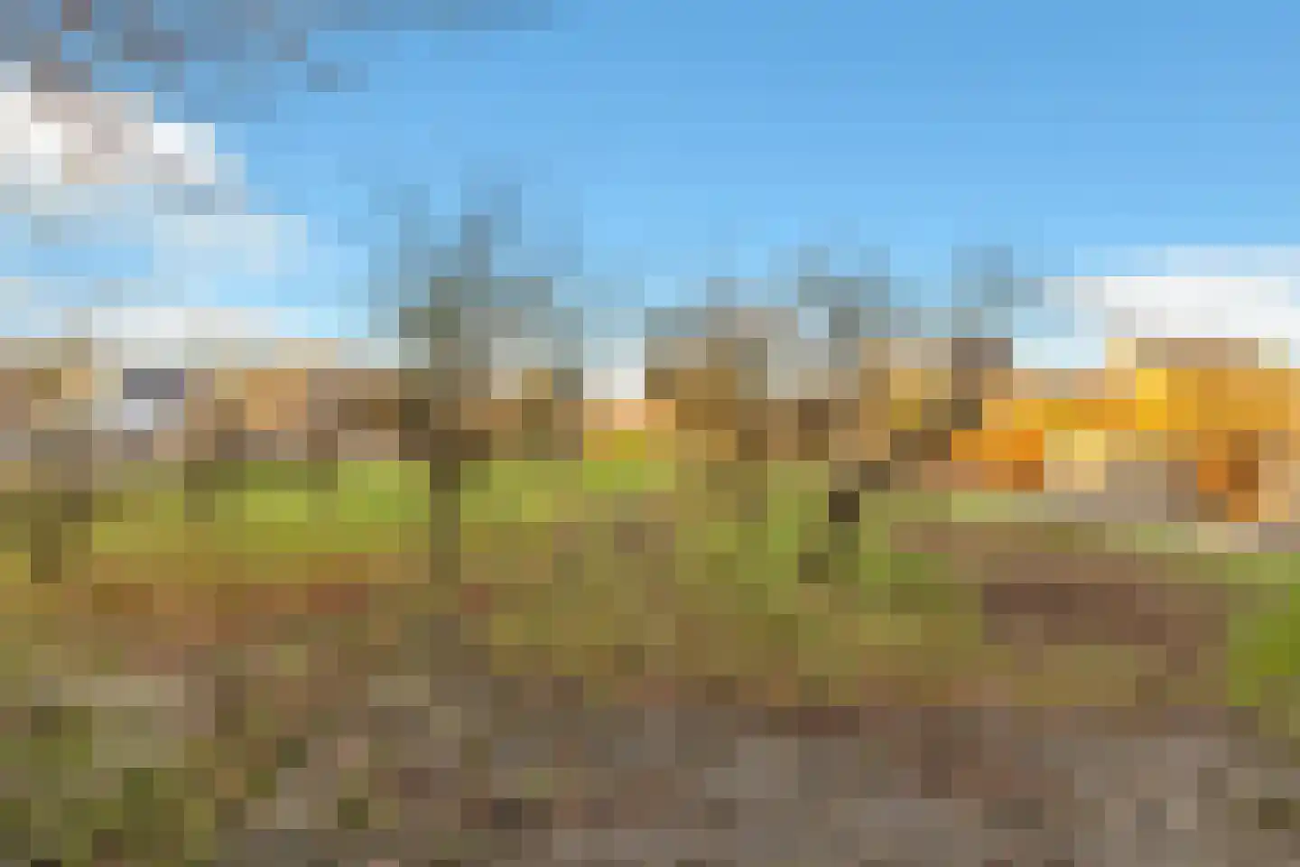 Koewijzend 1 Zwaag thumbnail 32