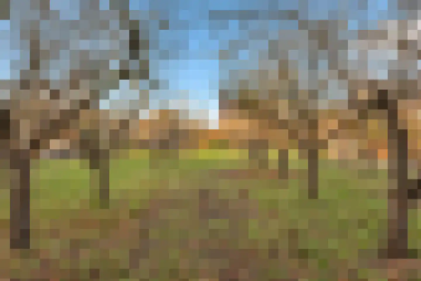 Koewijzend 1 Zwaag thumbnail 33