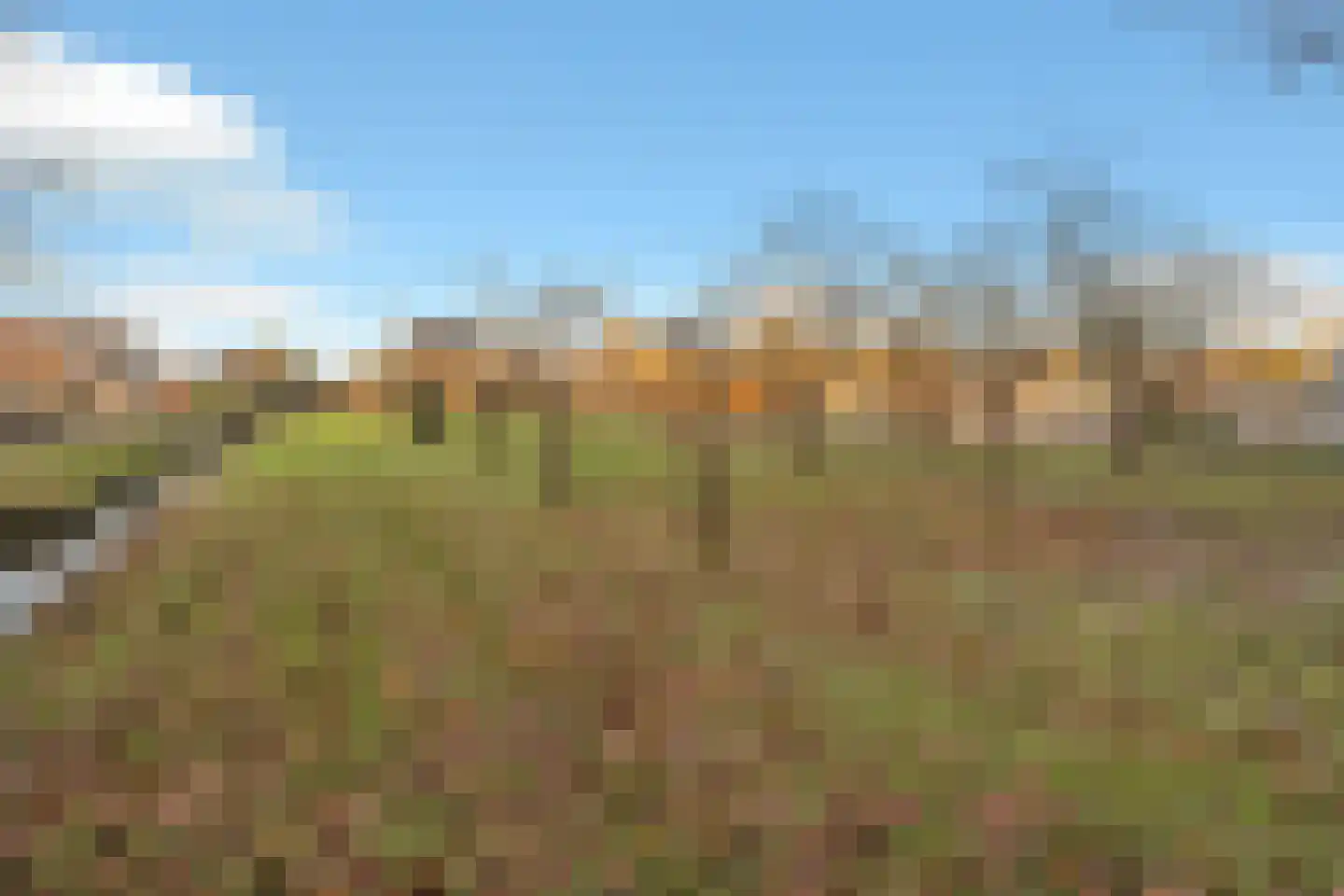Koewijzend 1 Zwaag thumbnail 34