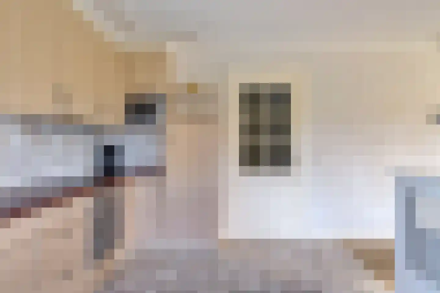 Koewijzend 30 C Blokker thumbnail 11