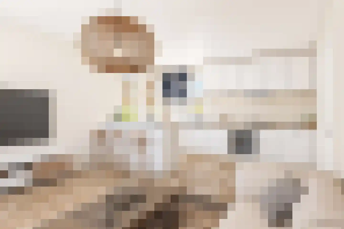 Koewijzend 30 C Blokker thumbnail 12