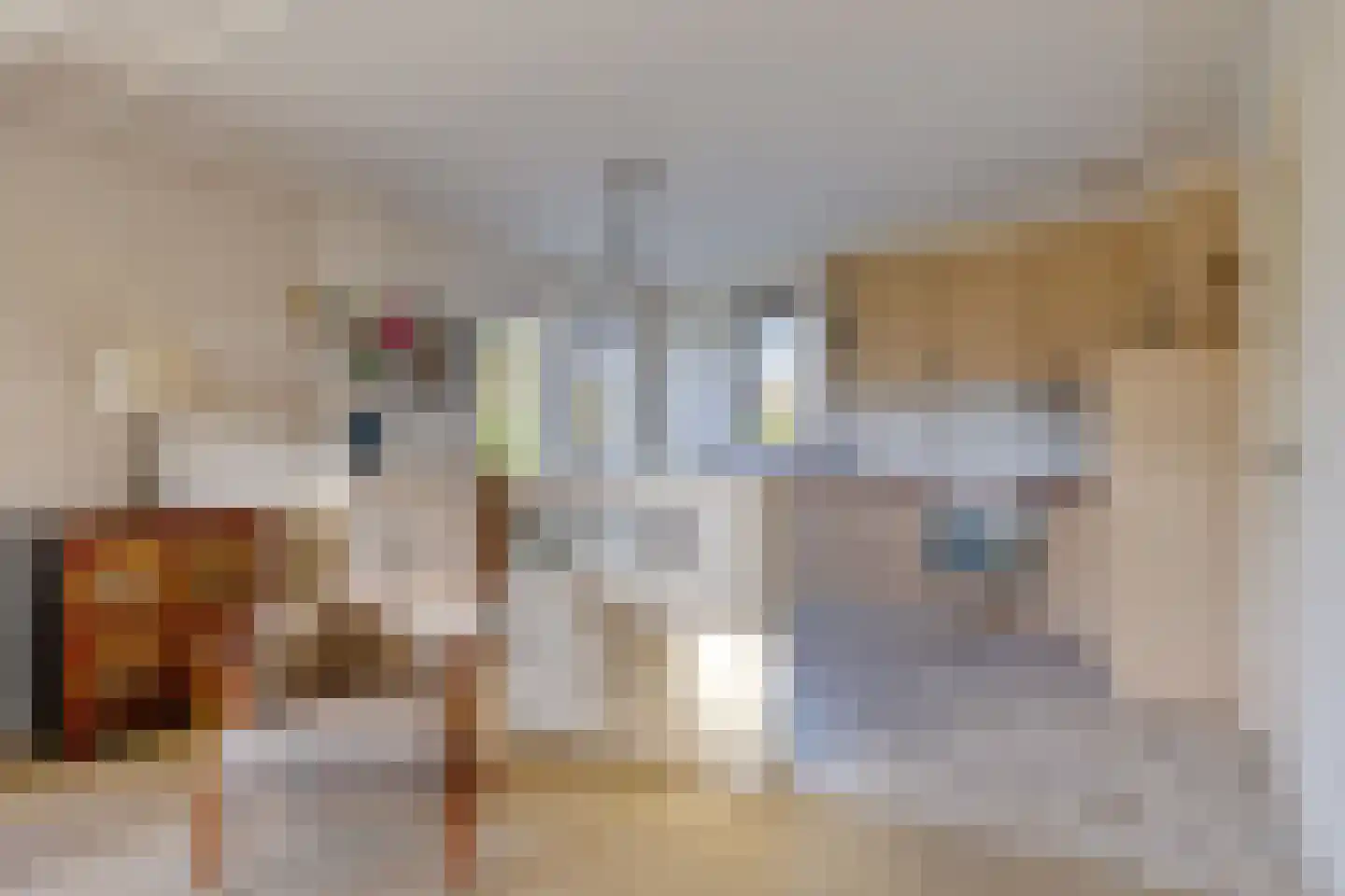 Koewijzend 30 C Blokker thumbnail 13