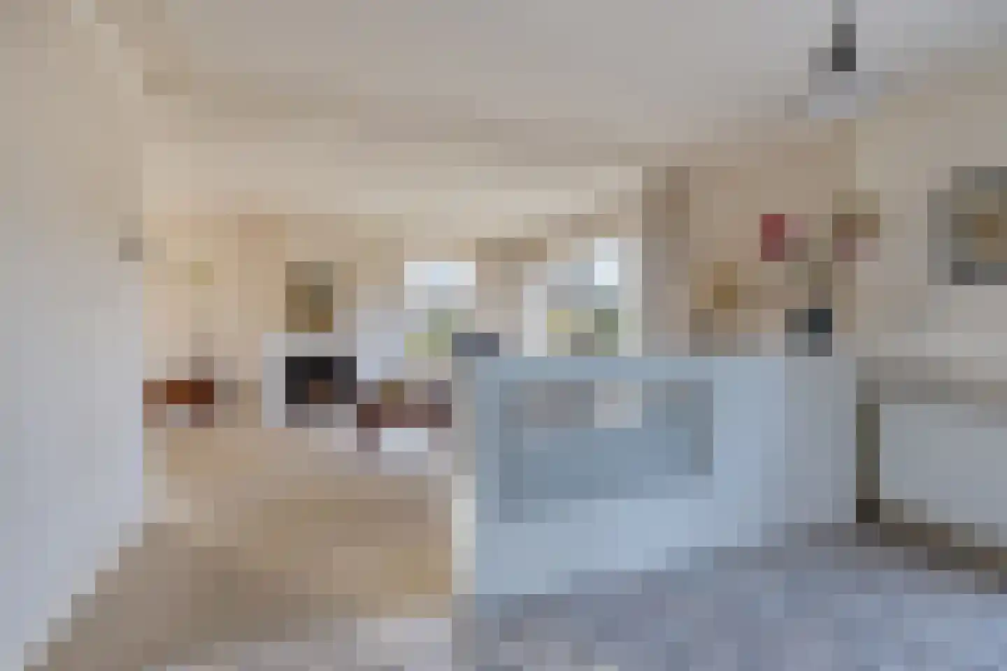 Koewijzend 30 C Blokker thumbnail 14