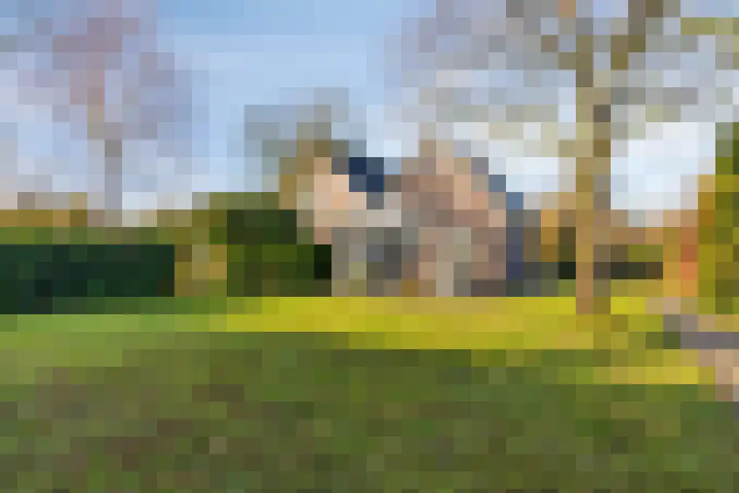 Koewijzend 30 C Blokker foto 2