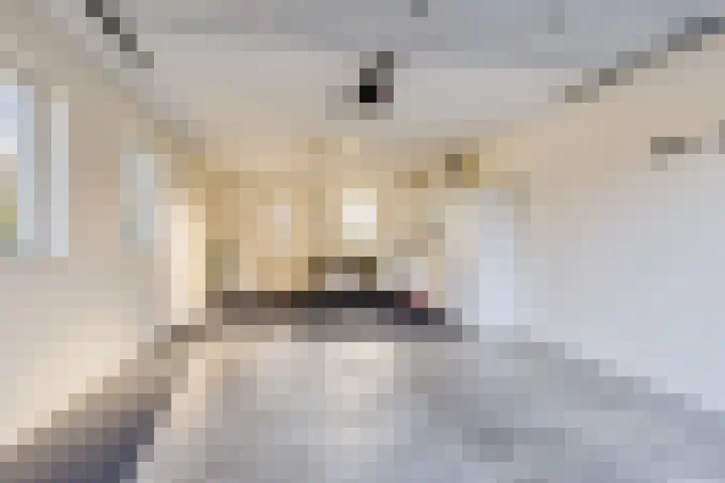 Koewijzend 30 C Blokker thumbnail 32