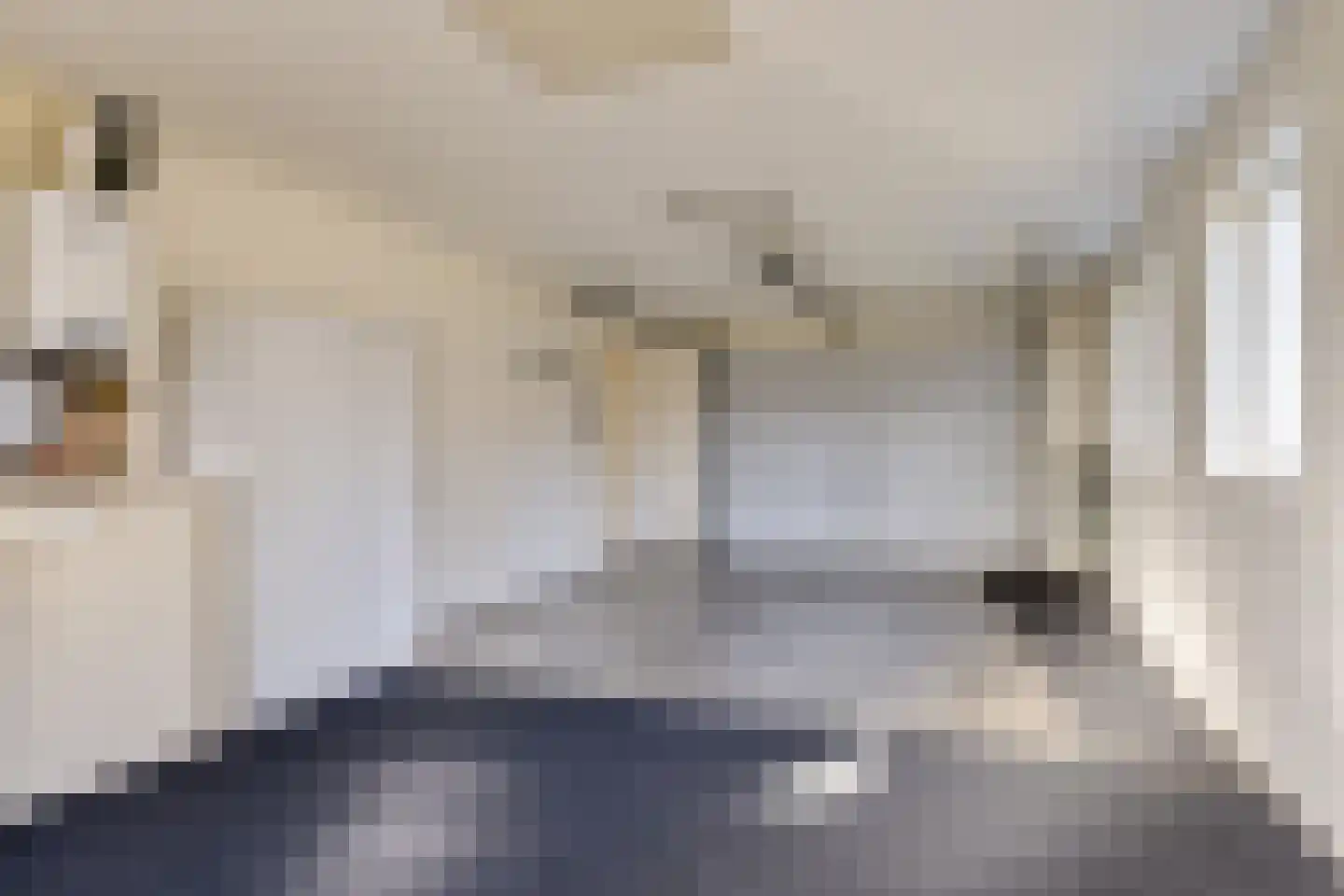 Koewijzend 30 C Blokker thumbnail 33
