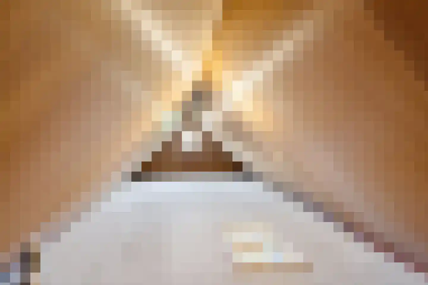 Koewijzend 30 C Blokker thumbnail 35