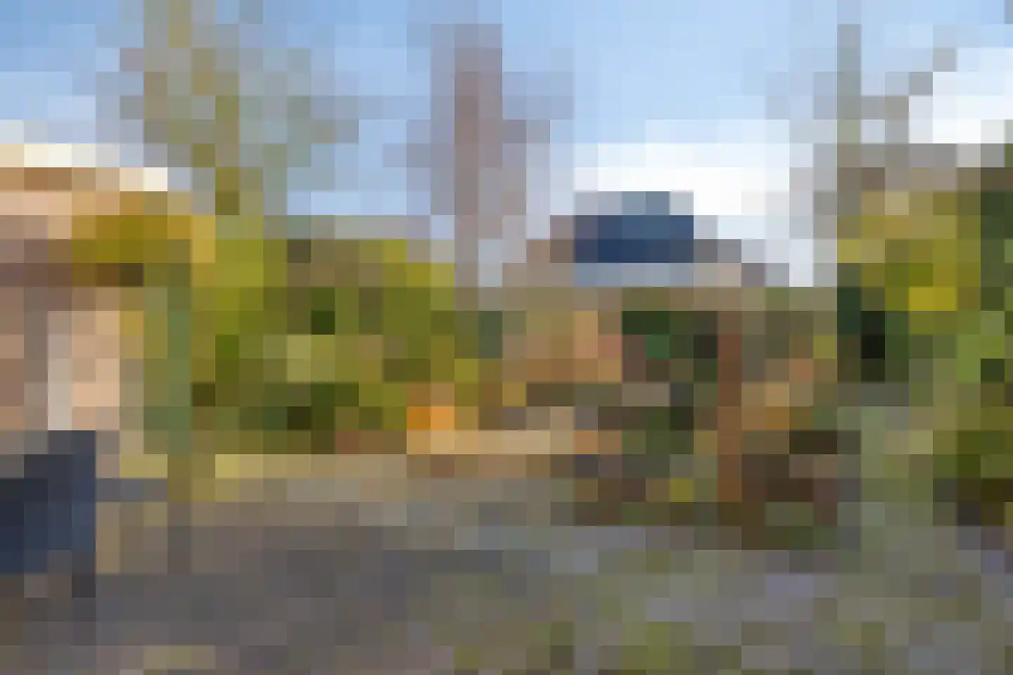 Koewijzend 30 C Blokker thumbnail 36
