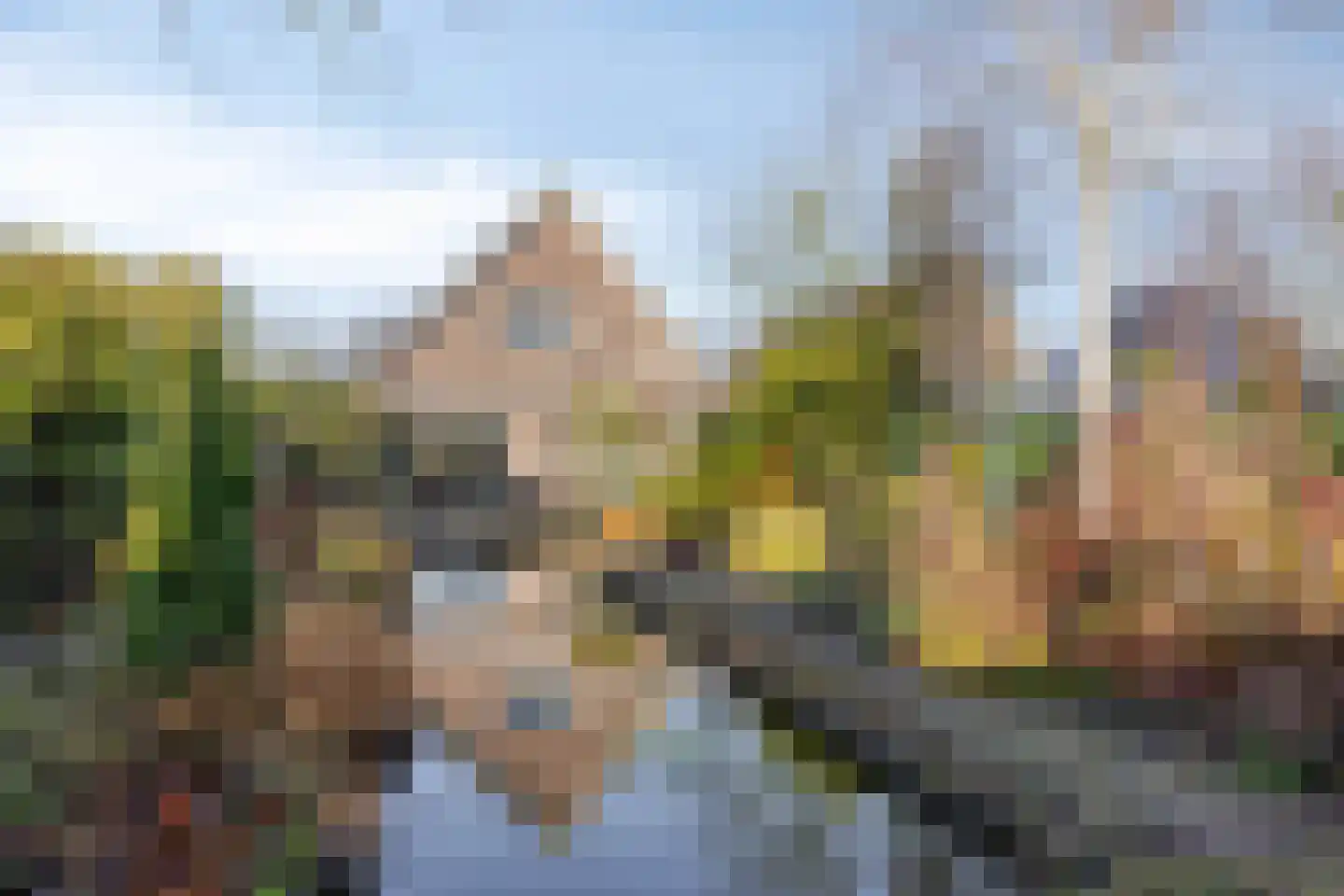 Koewijzend 30 C Blokker thumbnail 37