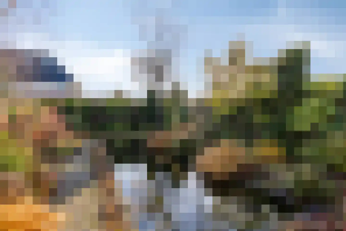 Koewijzend 30 C Blokker thumbnail 38