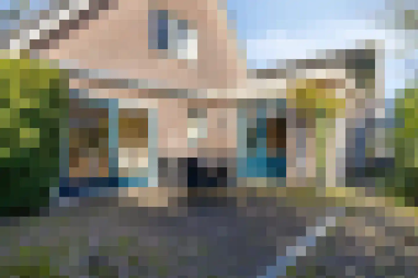 Koewijzend 30 C Blokker thumbnail 39