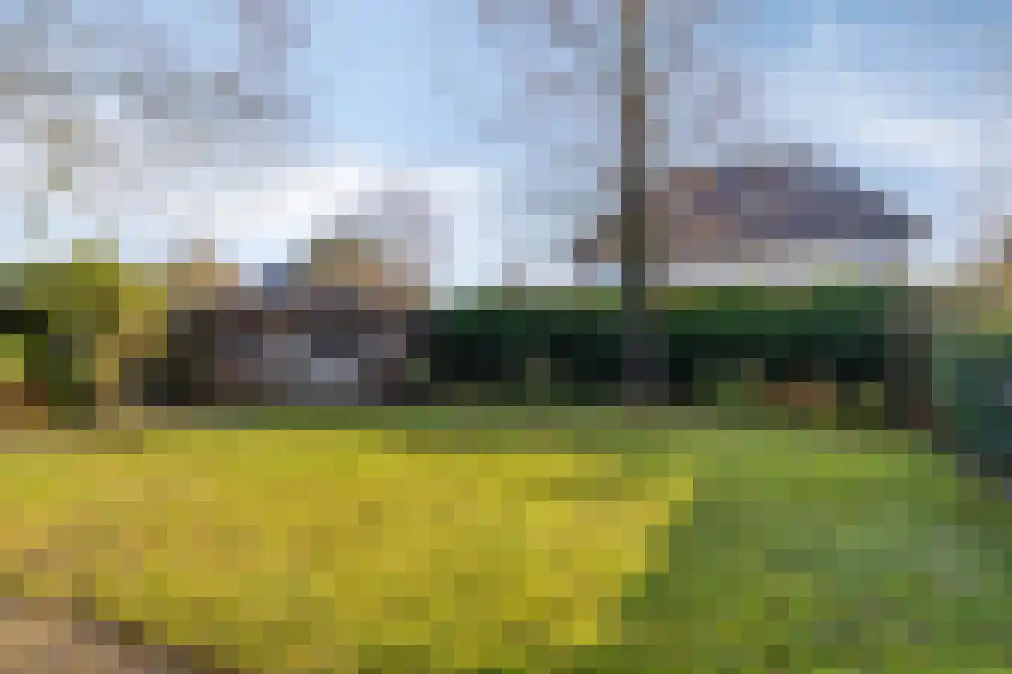 Koewijzend 30 C Blokker thumbnail 40