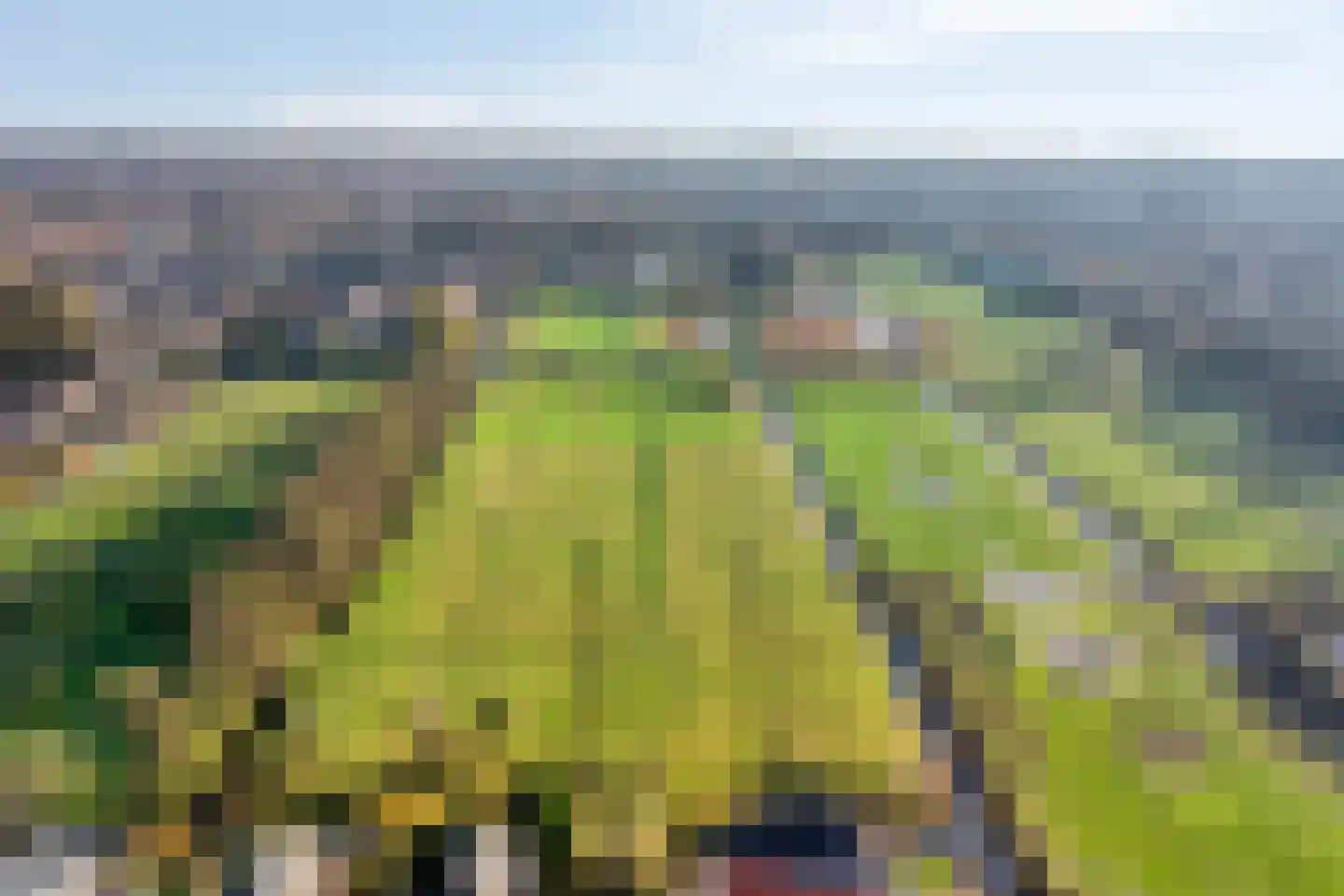 Koewijzend 30 C Blokker thumbnail 43