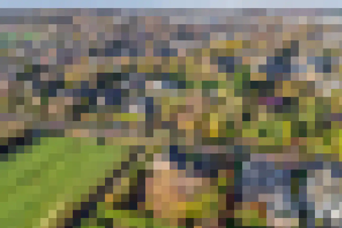 Koewijzend 30 C Blokker thumbnail 46