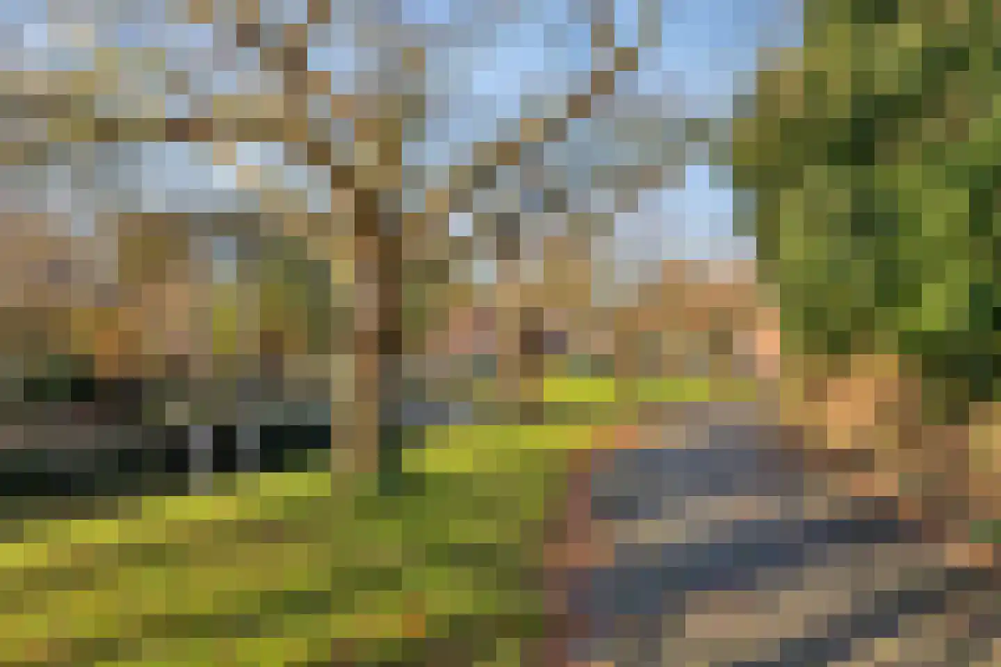 Koewijzend 30 C Blokker thumbnail 47