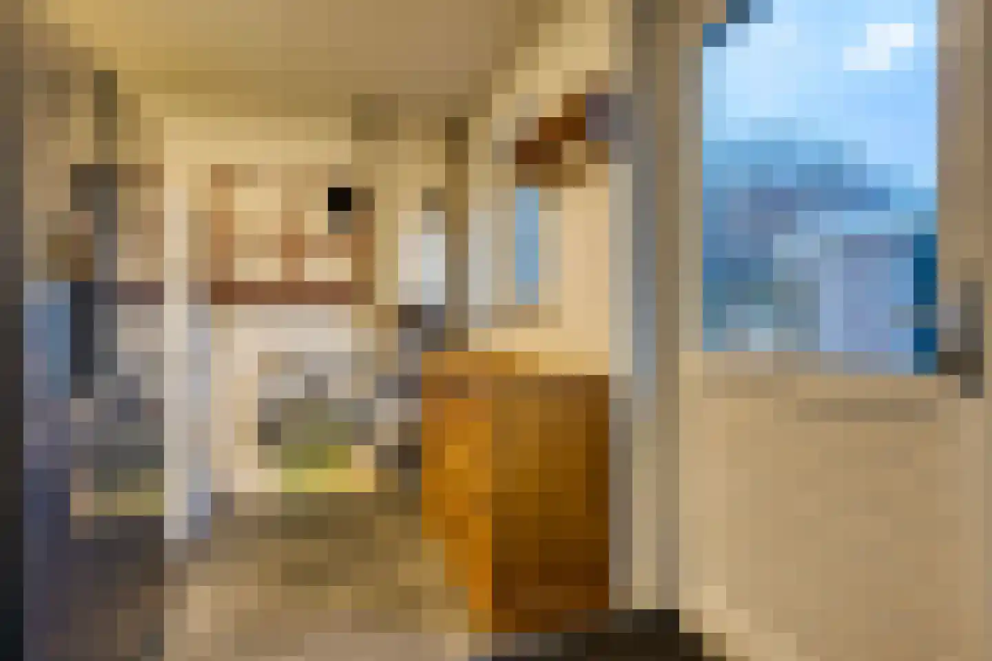 Koewijzend 43 A Zwaag thumbnail 33