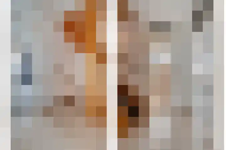 Koezenkamp 14 Dalfsen thumbnail 17