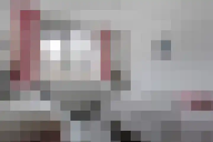Koezenkamp 14 Dalfsen thumbnail 18