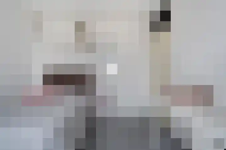 Koezenkamp 14 Dalfsen thumbnail 19