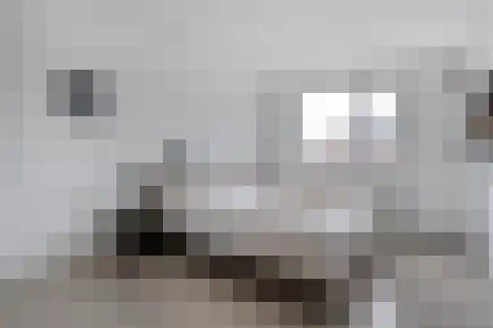Koezenkamp 14 Dalfsen thumbnail 20