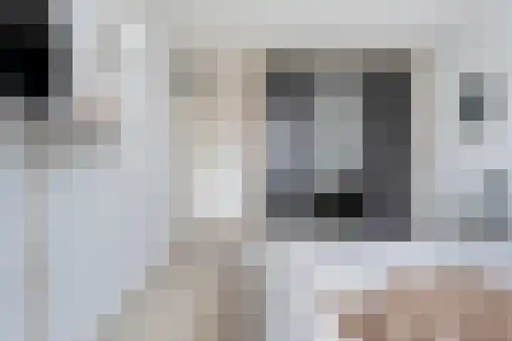 Koezenkamp 14 Dalfsen thumbnail 21