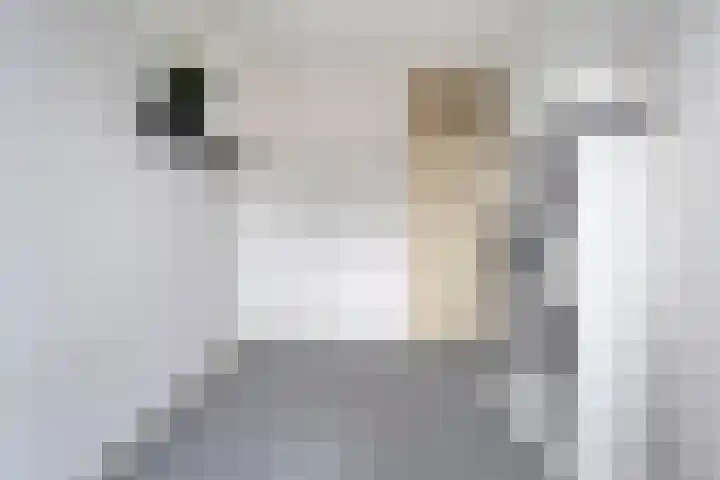Koezenkamp 14 Dalfsen thumbnail 23