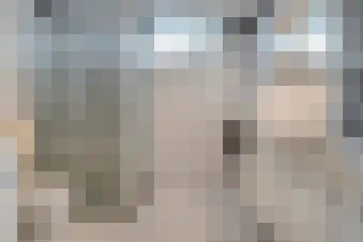 Koezenkamp 14 Dalfsen thumbnail 24
