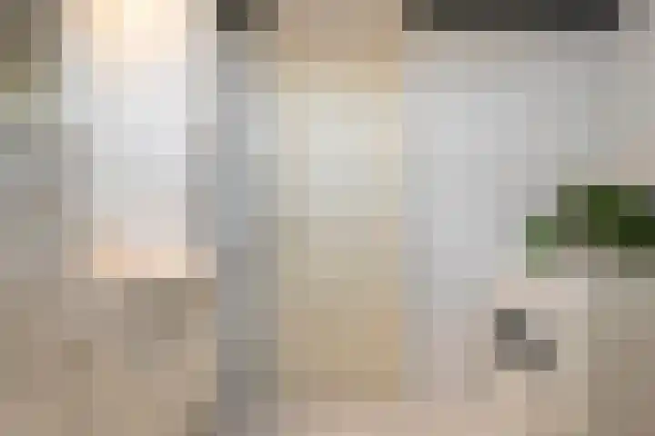 Koezenkamp 14 Dalfsen thumbnail 25