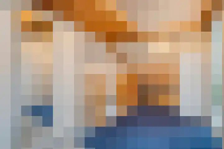 Koezenkamp 14 Dalfsen thumbnail 27