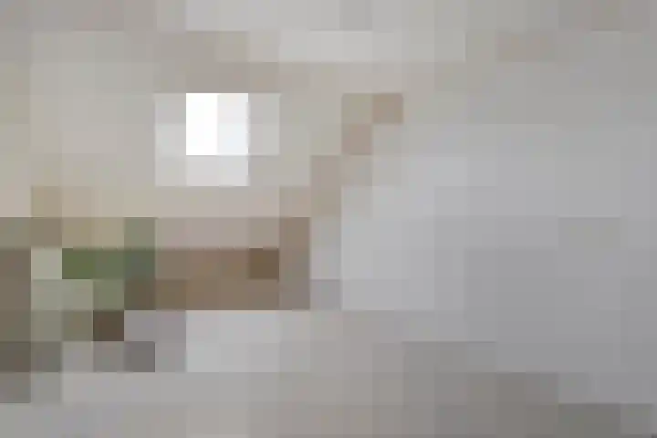 Koezenkamp 14 Dalfsen thumbnail 29