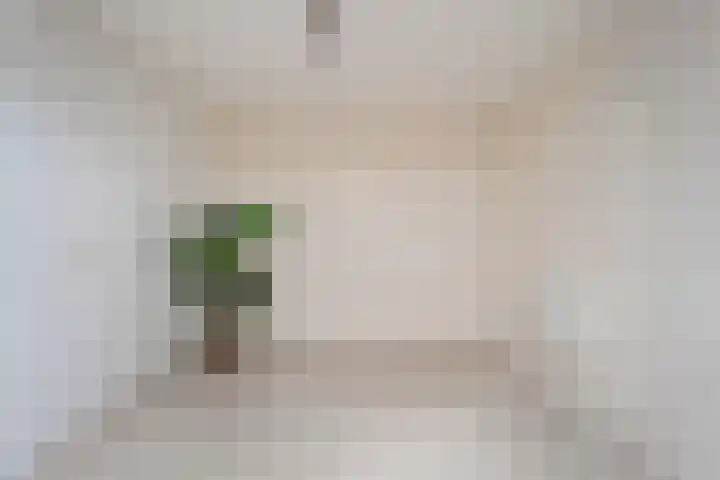 Koezenkamp 14 Dalfsen thumbnail 30
